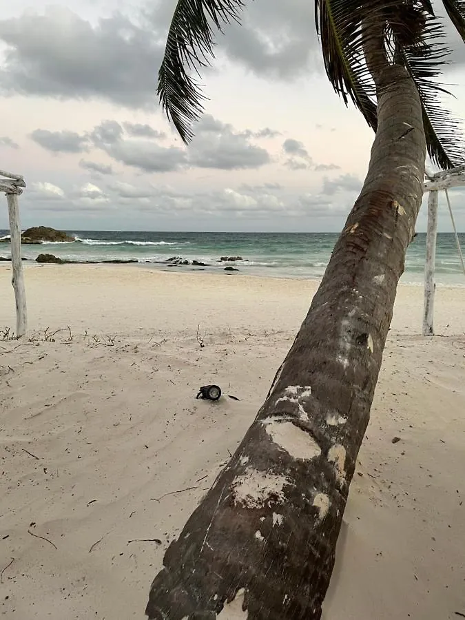Roc Luxe Tulum Hotel 5*,